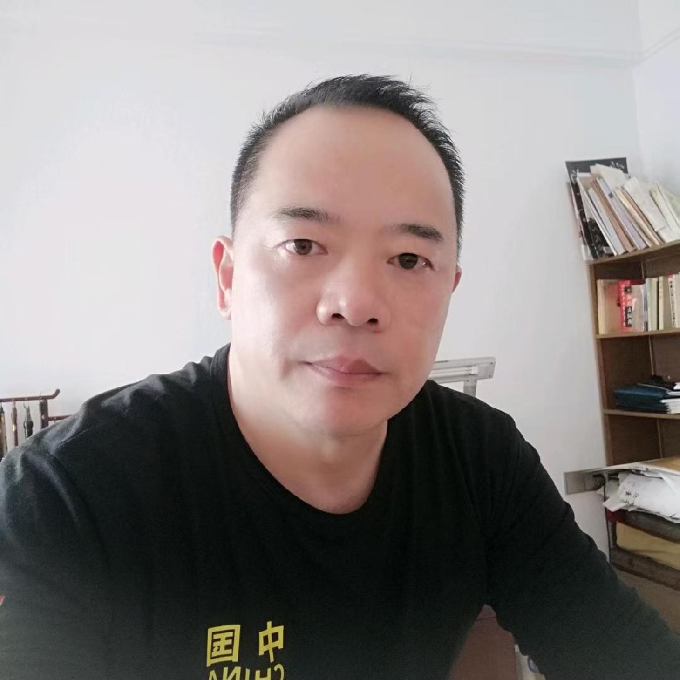 何子龙