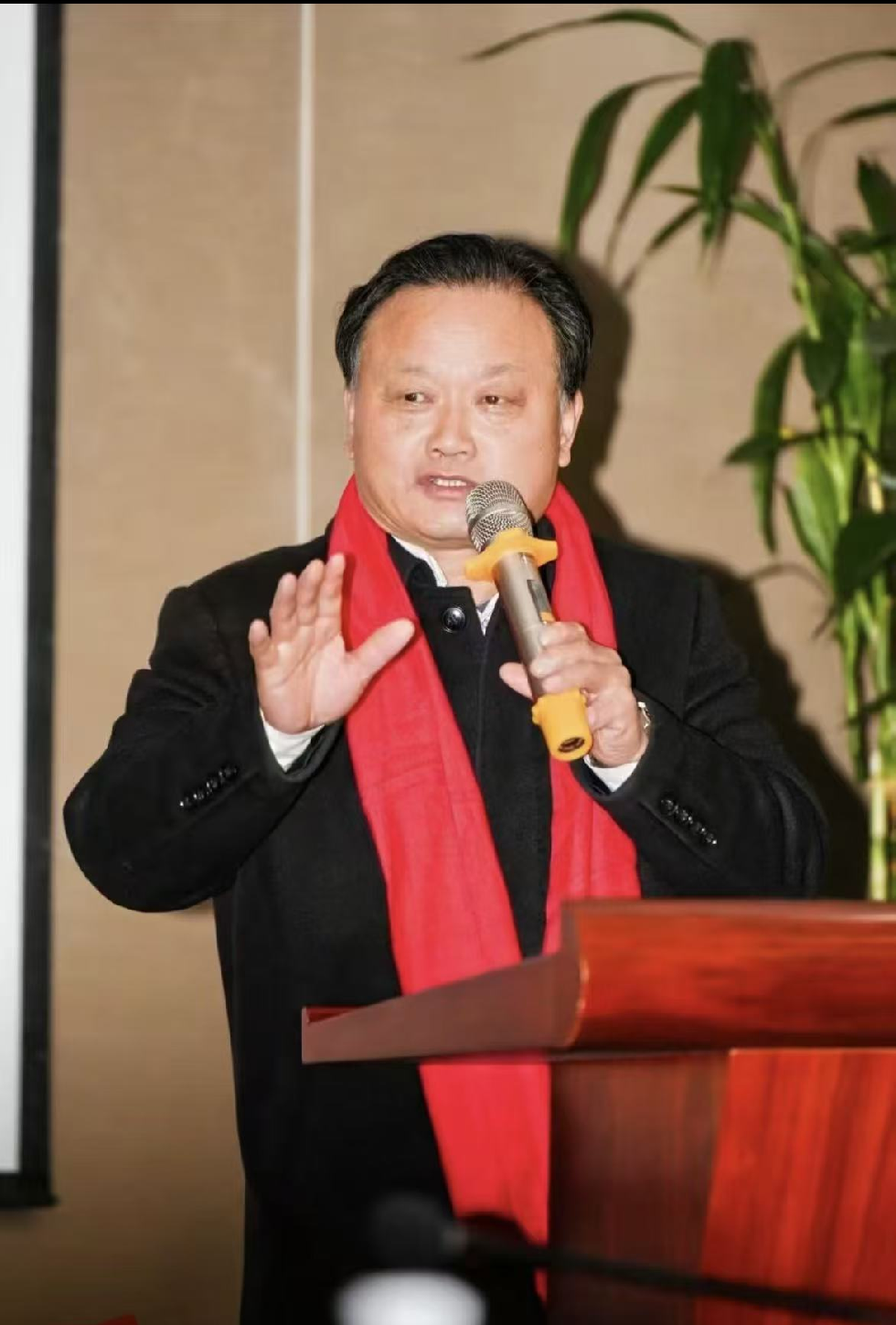 陈金超