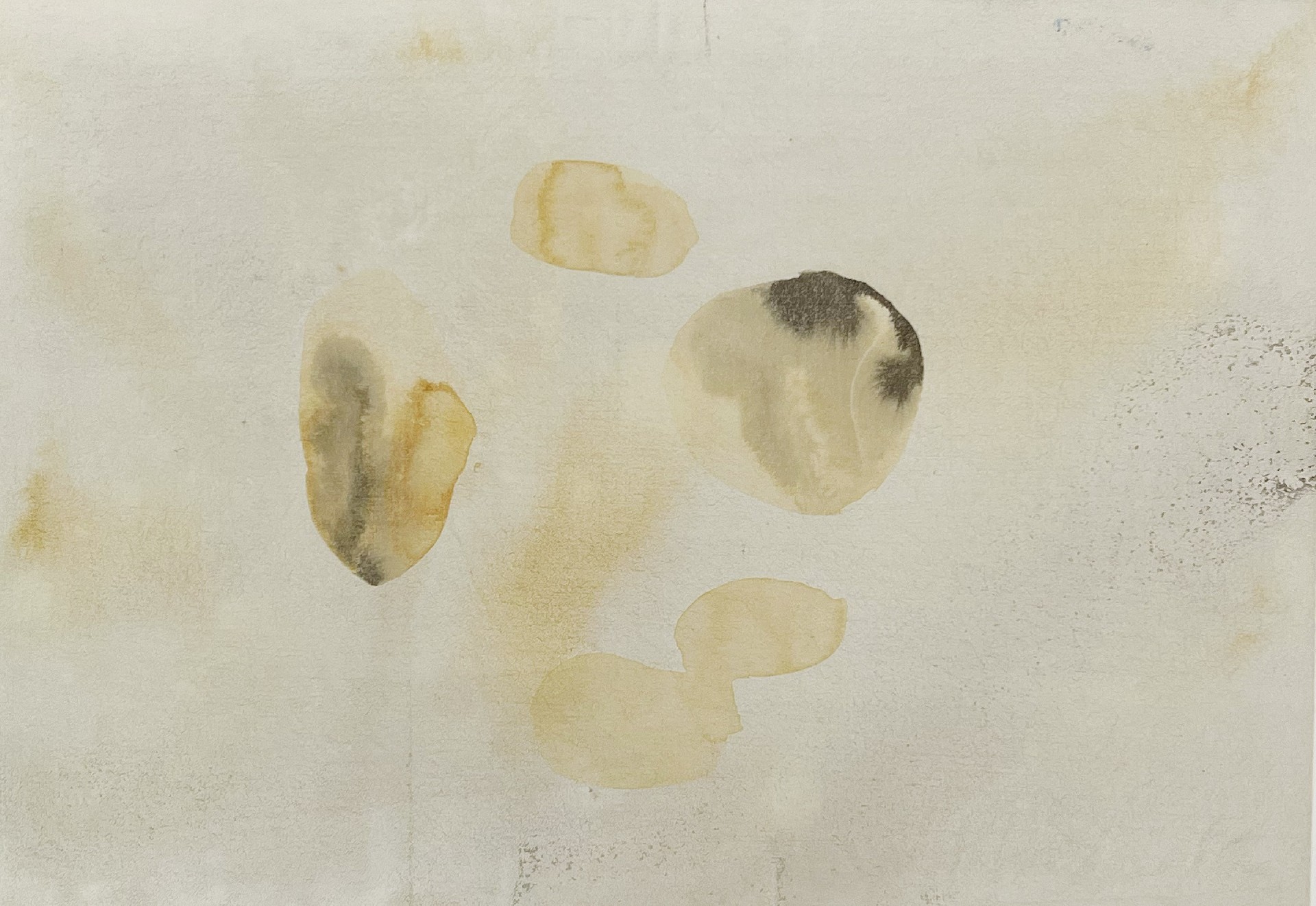 《微观01》 25×35cm纸本综合材料2016年.jpg