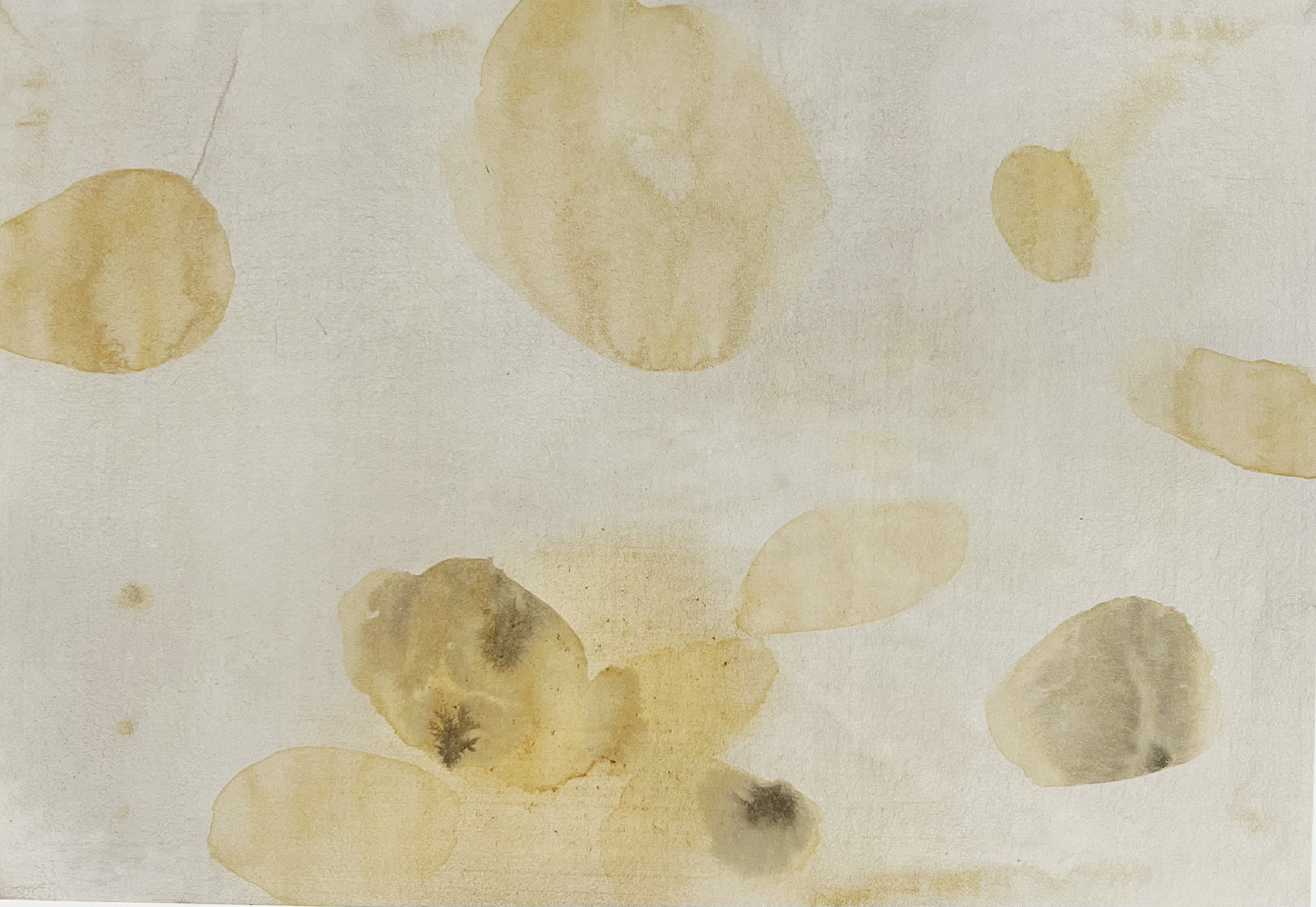 《微观02》 25×35cm纸本综合材料2016年.jpg